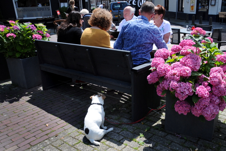 PIC_0071.750 (C) Ronald Puma