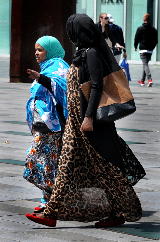 PIC_0096.800 (C) Ronald Puma