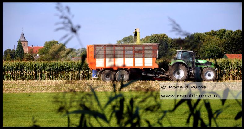oogst-harvest-ooijpolder-nijmegen-2016-c-ronald-puma