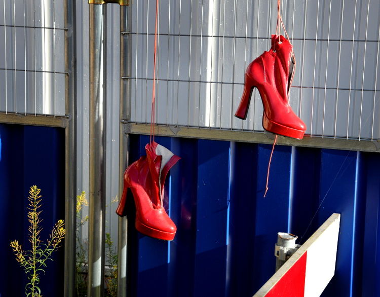 pic_0039-750-c-ronald-puma