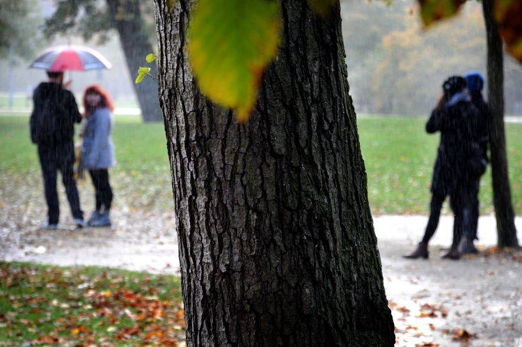 pic_0069-b-750-c-ronald-puma