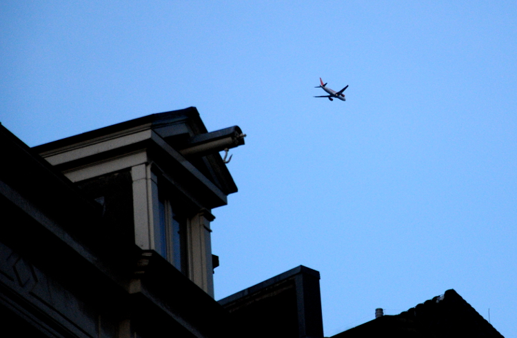 pic_0238-b-750-c-ronald-puma