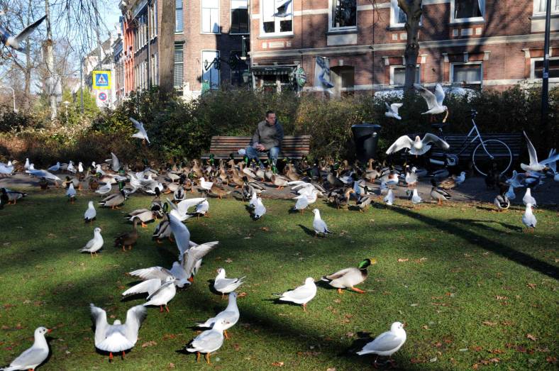 pic_0172-b-900-c-ronald-puma