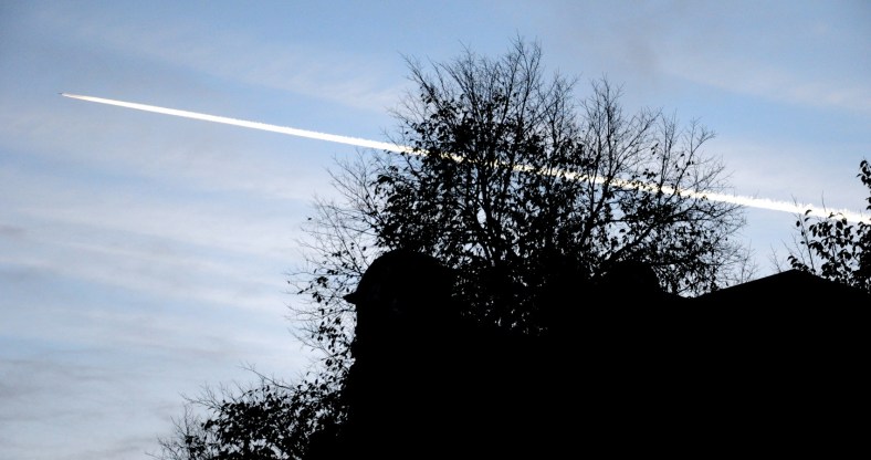 pic_0240-b-900-c-ronald-puma