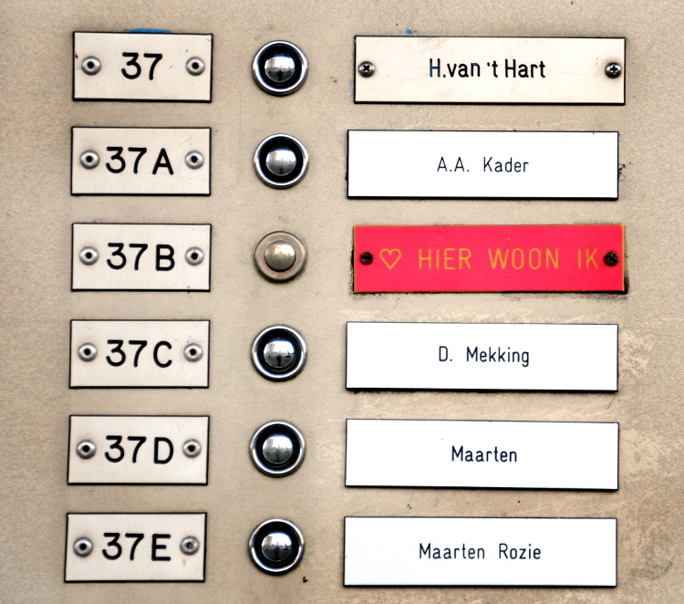 PIC_0003.750.(C) Ronald Puma