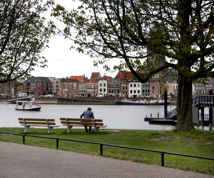 PIC_0010.750 (C) Ronald Puma