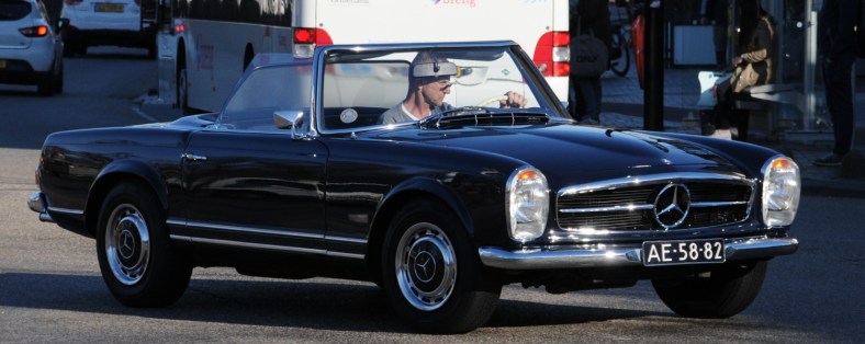 PIC_0039.1500 (C) Ronald Puma