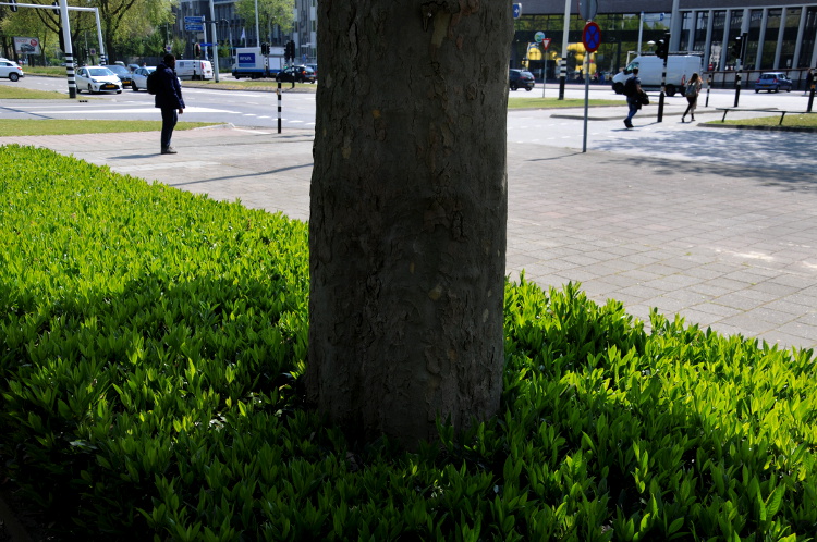 PIC_0025.750 StreetLife (C) Ronald Puma