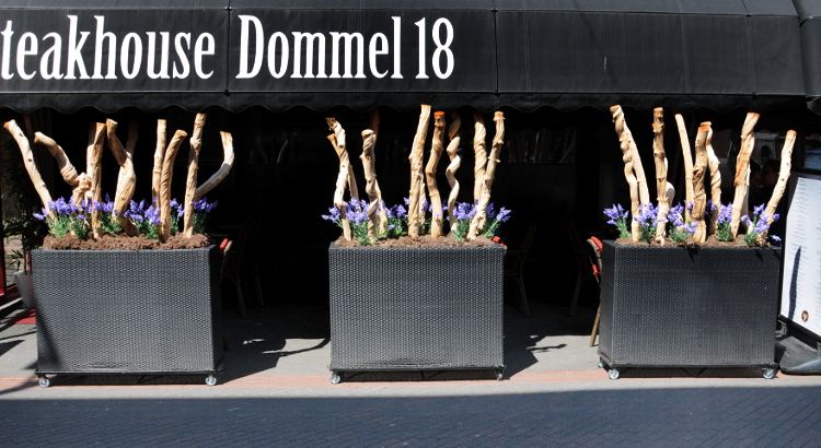 PIC_0053.750 (C) Ronald Puma