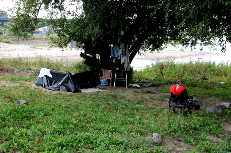 PIC_0120.750. Ronald Puma