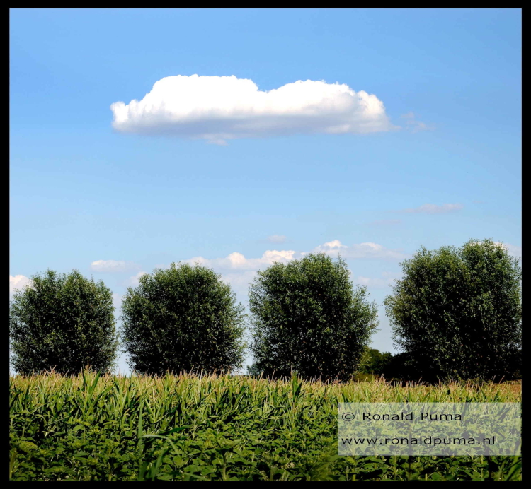 In the cloud 750 (C) Ronald Puma