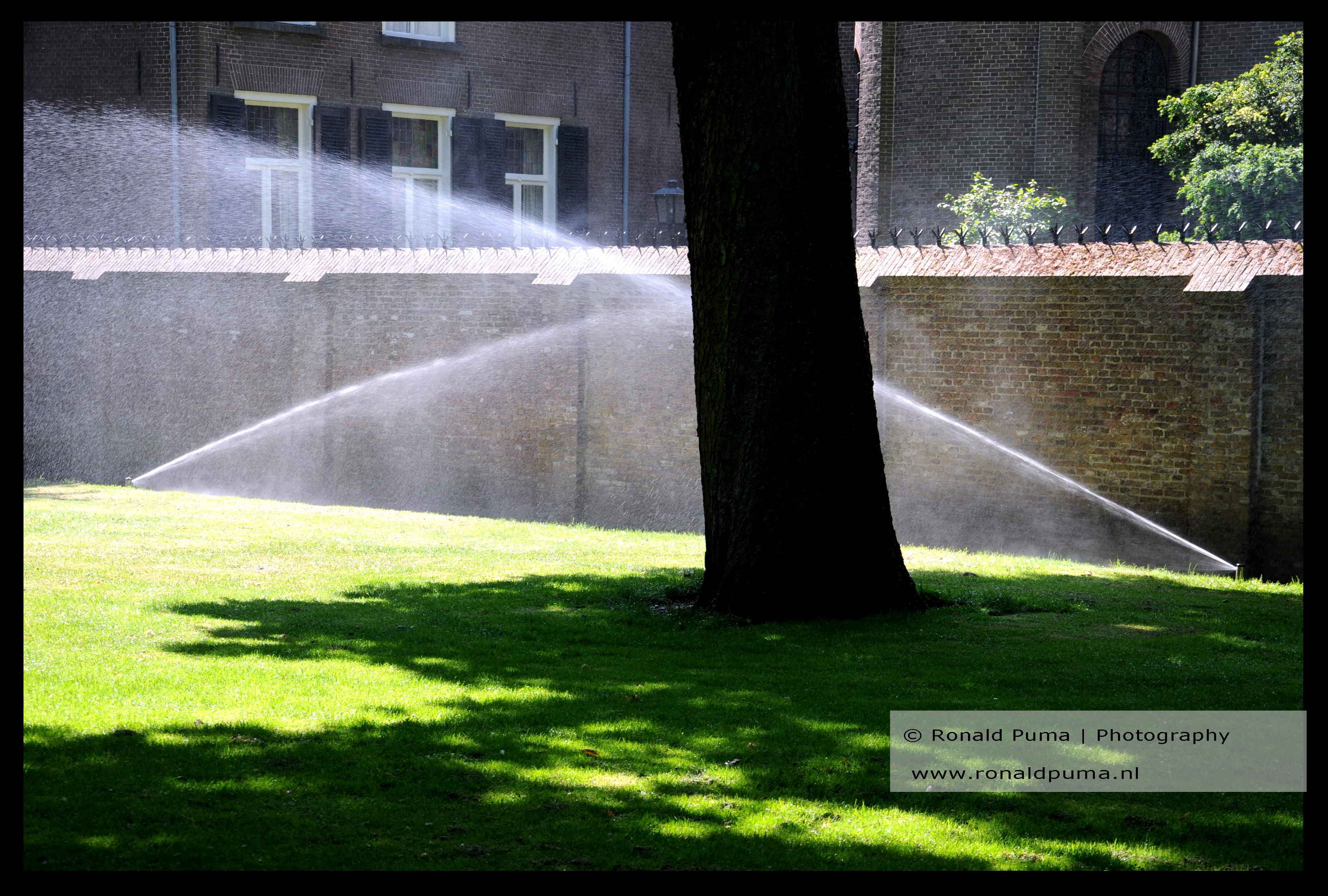 Droogte 2020 (C) Ronald Puma